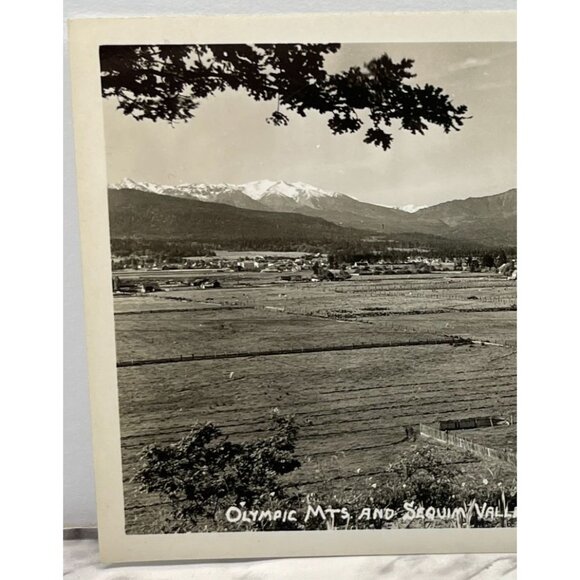 Olympic Mountains RPPC Postcard Vintage Sequim Valley WA North Peninsula - Picture 4 of 6